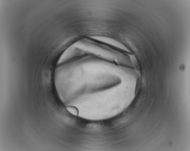 X0000091350211200709071245