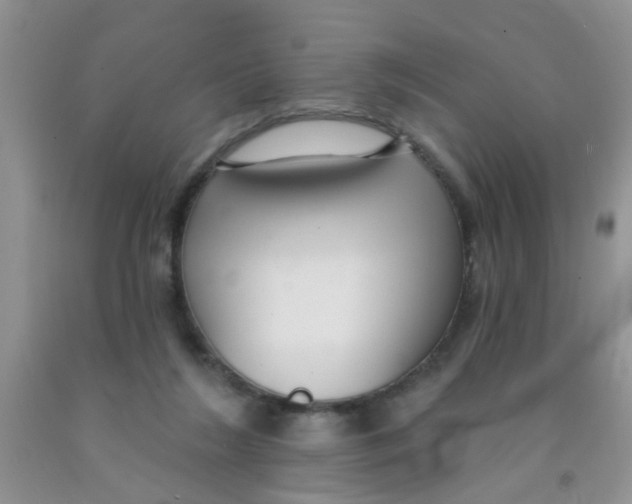 X0000091350212200709071245