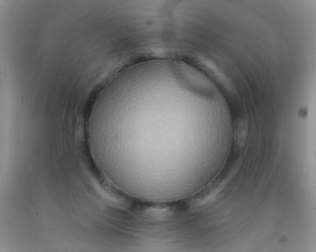 X0000091350213200709071245