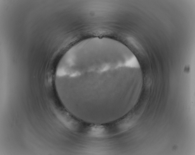 X0000091350214200709071245