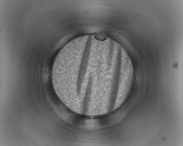 X0000091350216200709071245