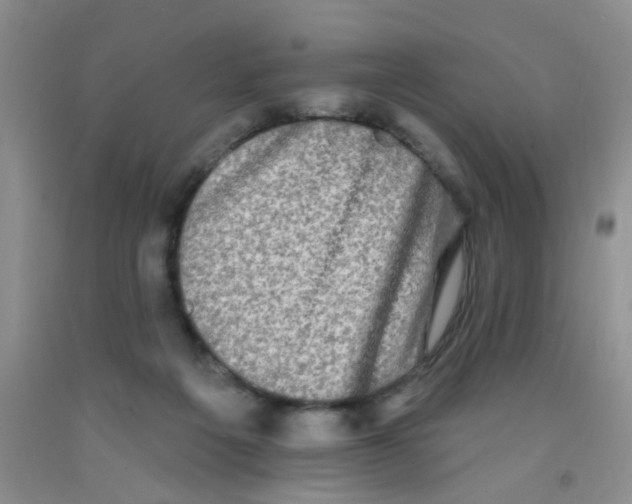 X0000091350217200709071245