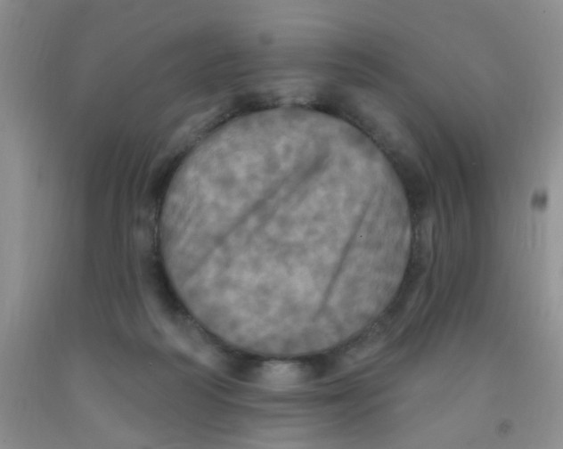 X0000091350218200709071245