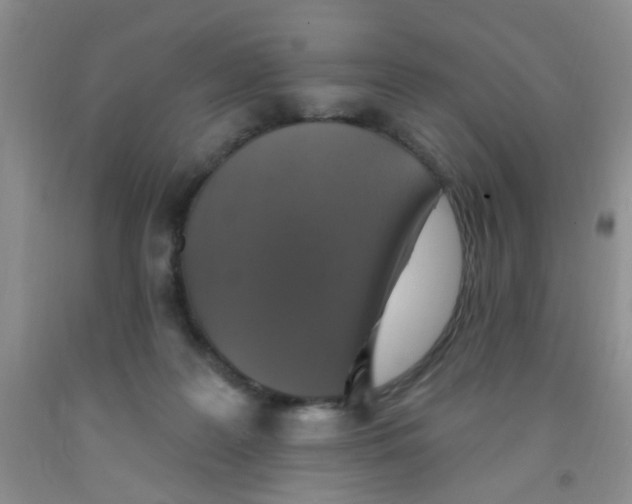 X0000091350219200709071245