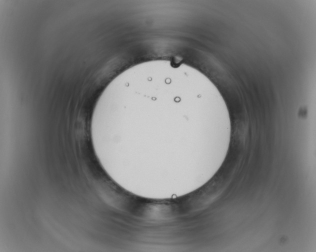 X0000091350220200709071245