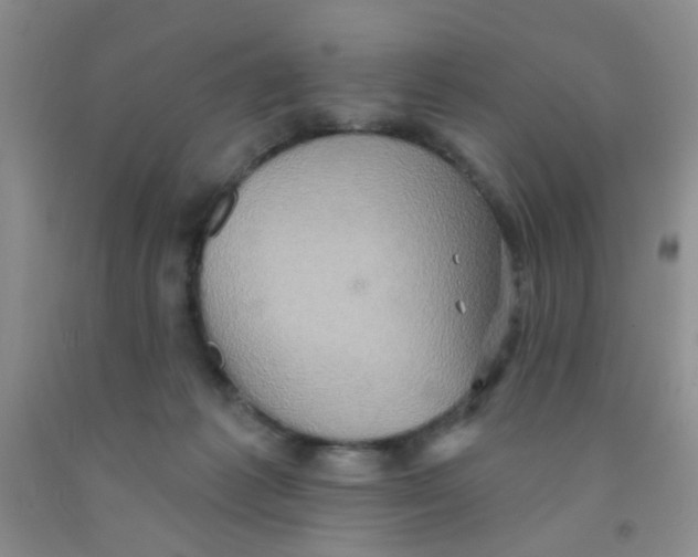 X0000091350221200709071245