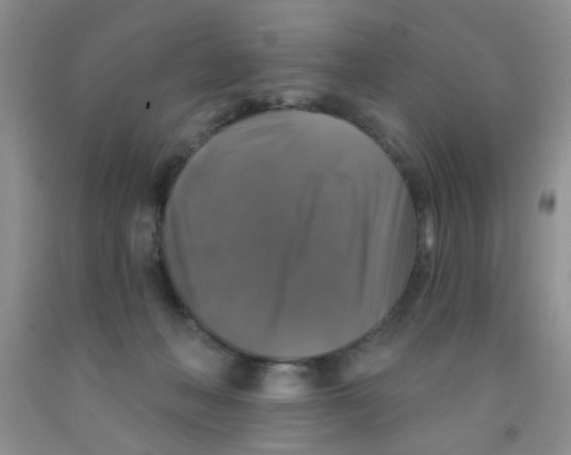 X0000091350222200709071245