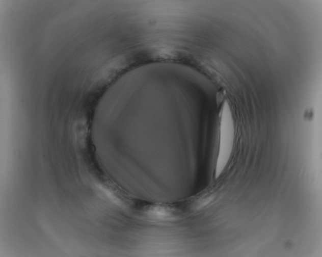 X0000091350223200709071245