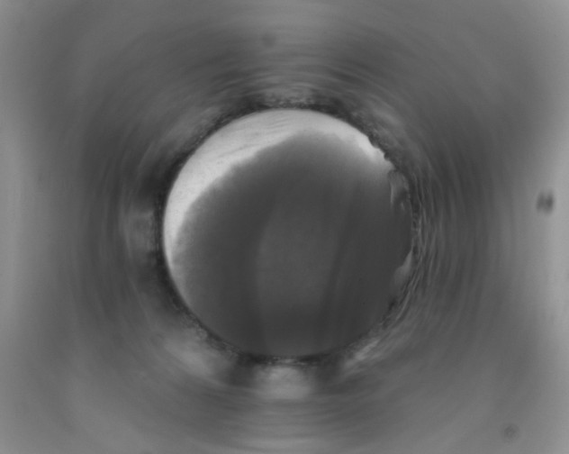 X0000091350224200709071245
