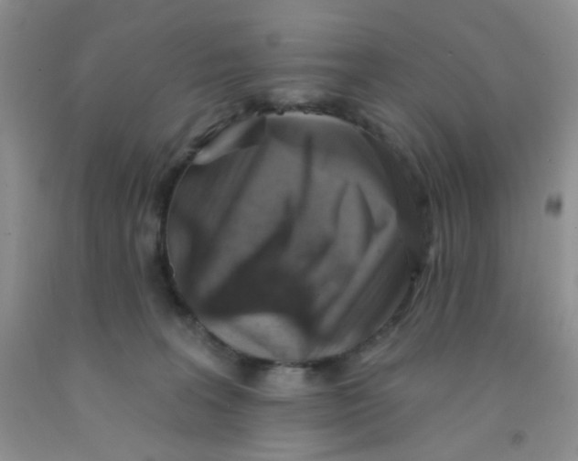 X0000091350227200709071245