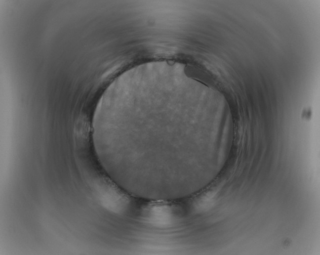 X0000091350228200709071245