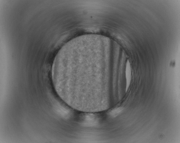 X0000091350229200709071245