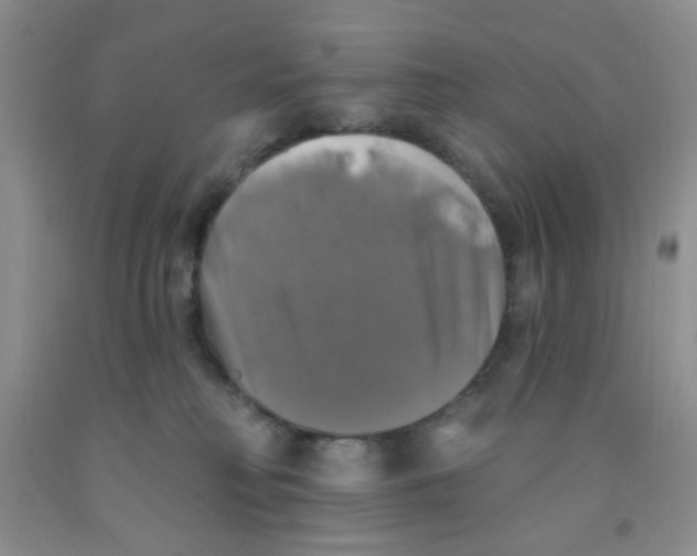 X0000091350230200709071245