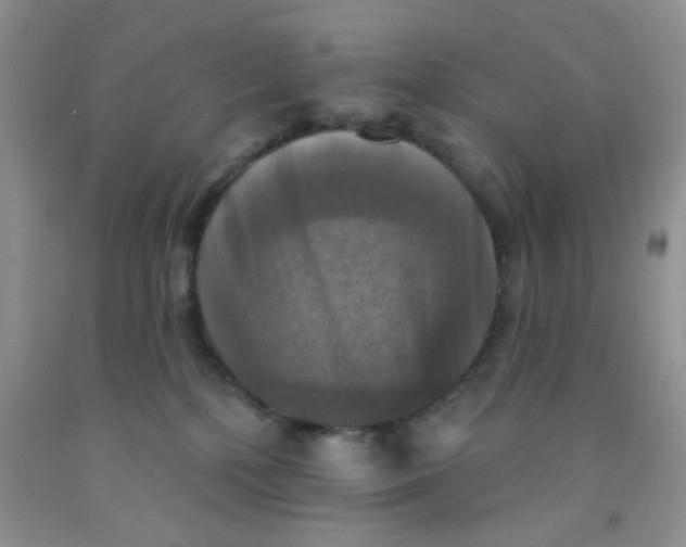 X0000091350232200709071245