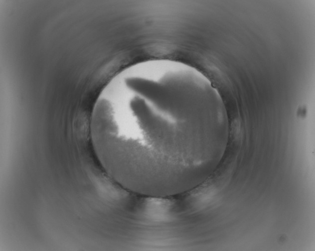 X0000091350234200709071245