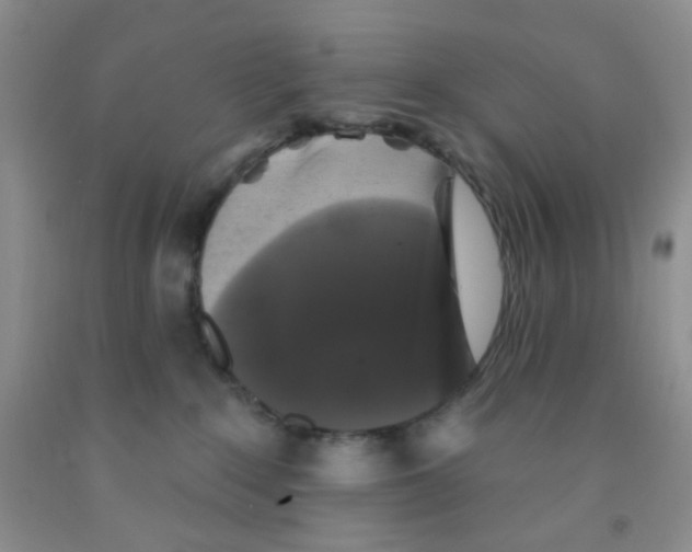 X0000091350235200709071245
