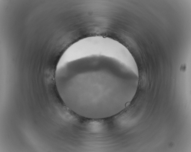 X0000091350236200709071245