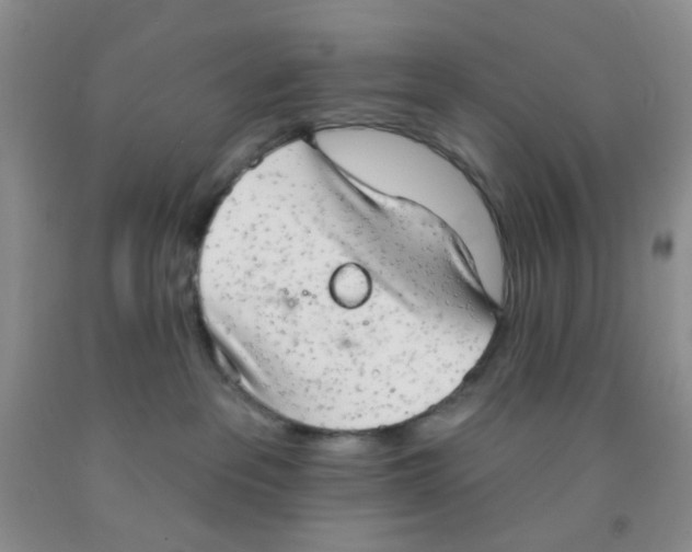 X0000091350237200709071245