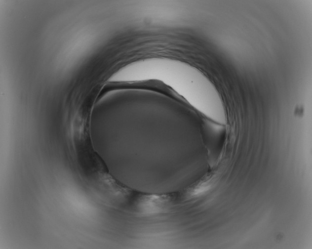 X0000091350239200709071245