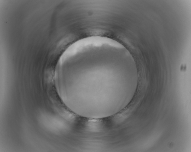 X0000091350240200709071245