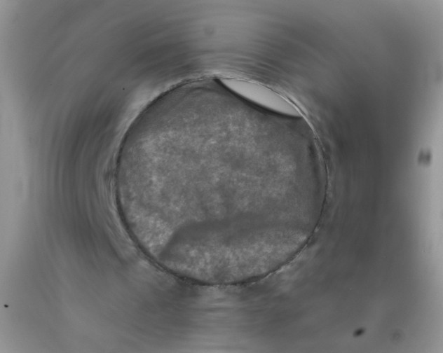 X0000091350241200709071244