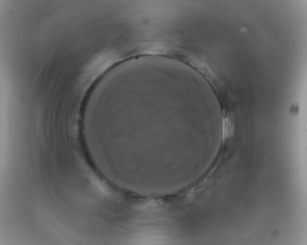 X0000091350243200709071244