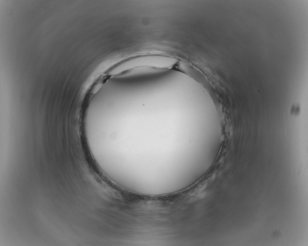 X0000091350244200709071244