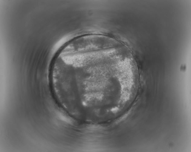 X0000091350246200709071244