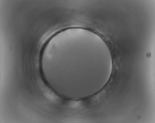 X0000091350247200709071244