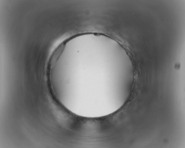 X0000091350248200709071244