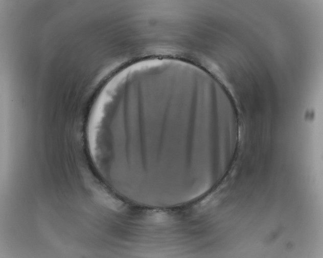 X0000091350249200709071244