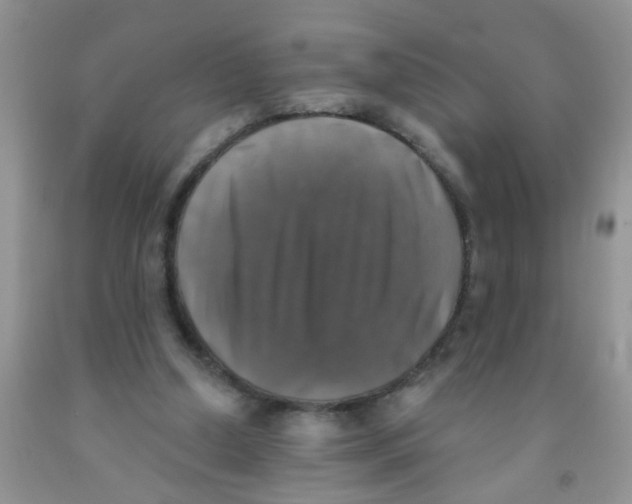 X0000091350250200709071244
