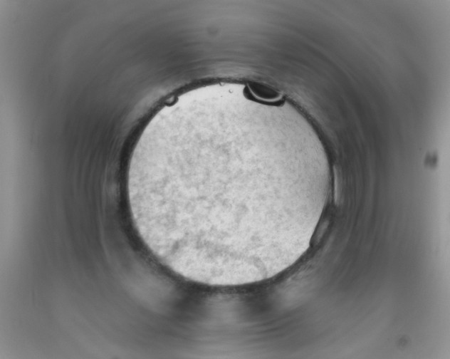 X0000091350252200709071244