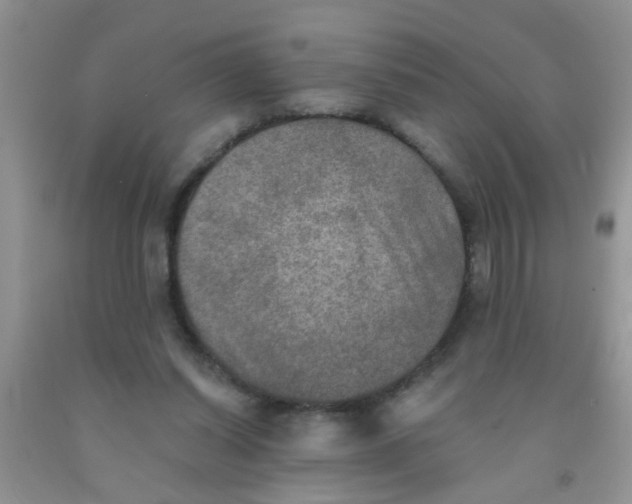 X0000091350254200709071244