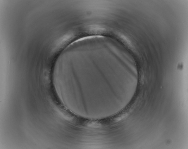 X0000091350258200709071244