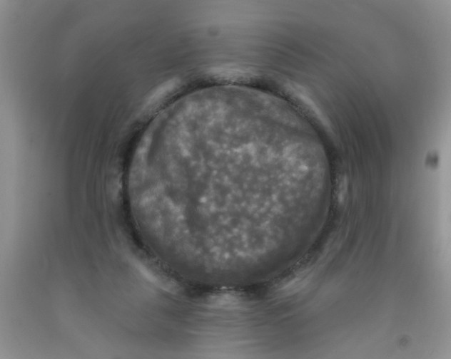 X0000091350259200709071244