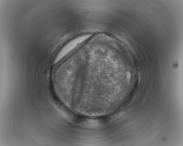 X0000091350260200709071244
