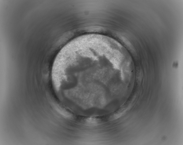 X0000091350261200709071244