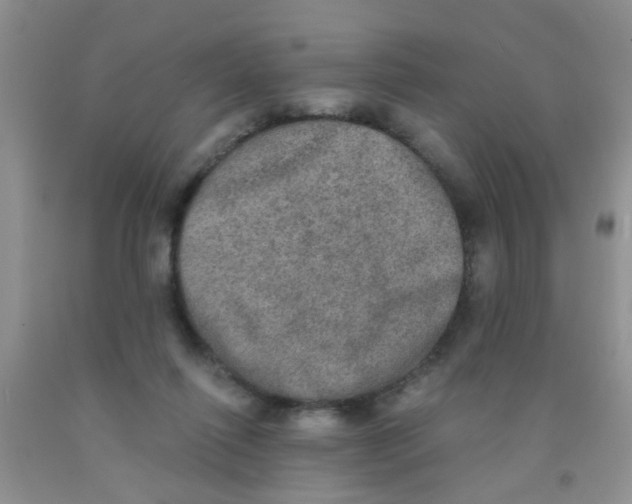 X0000091350262200709071244