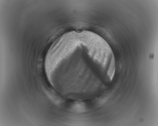 X0000091350263200709071244
