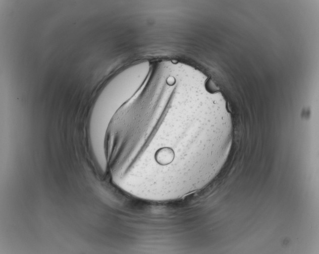 X0000091350264200709071244
