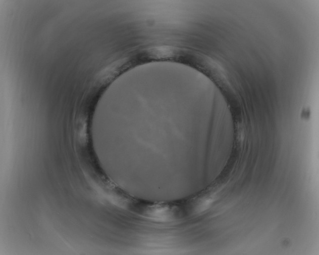 X0000091350267200709071244