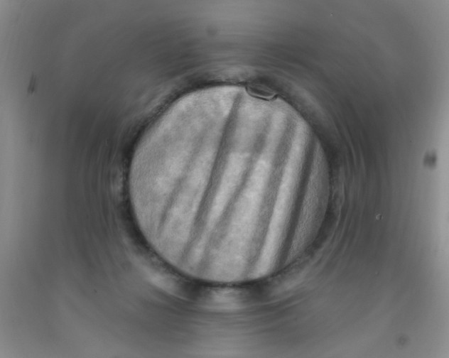 X0000091350268200709071244