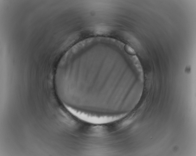 X0000091350269200709071244