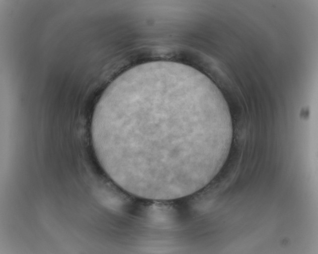 X0000091350270200709071244