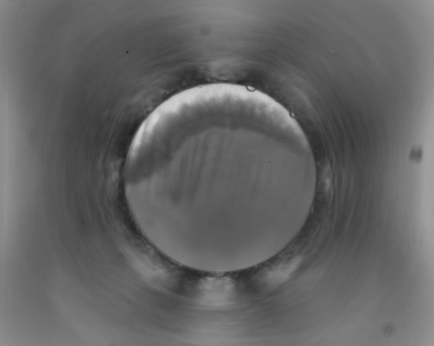 X0000091350271200709071244