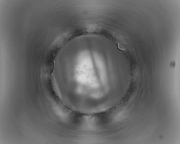 X0000091350272200709071244