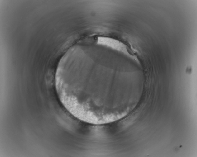 X0000091350273200709071244