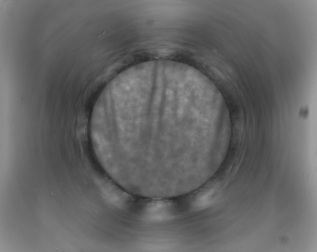 X0000091350274200709071244