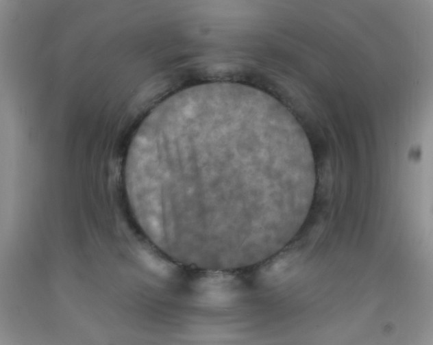 X0000091350278200709071245